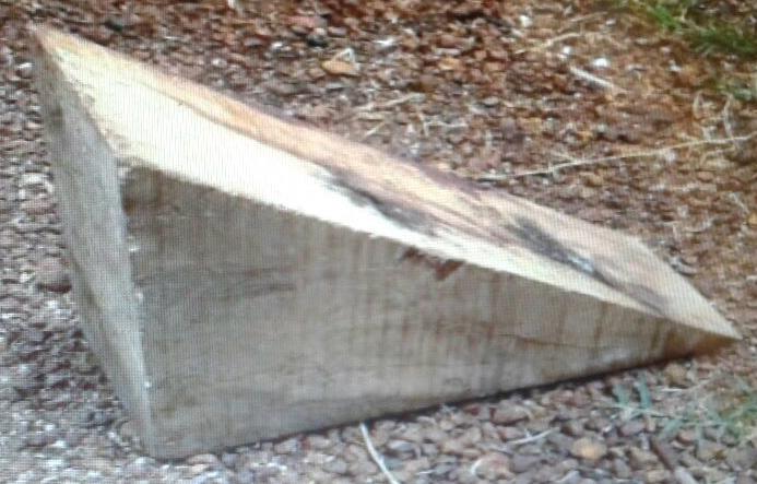 Raw Timber & Industrial Lumber view 6